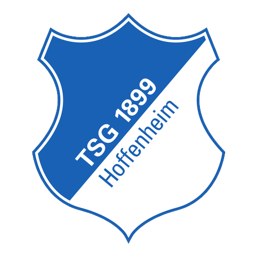 Escudo do Hoffenheim