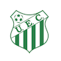 Escudo Uberlândia
